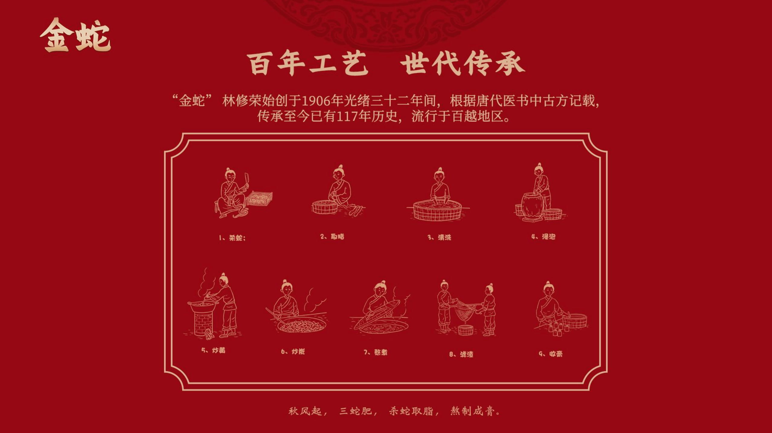 金蛇网站